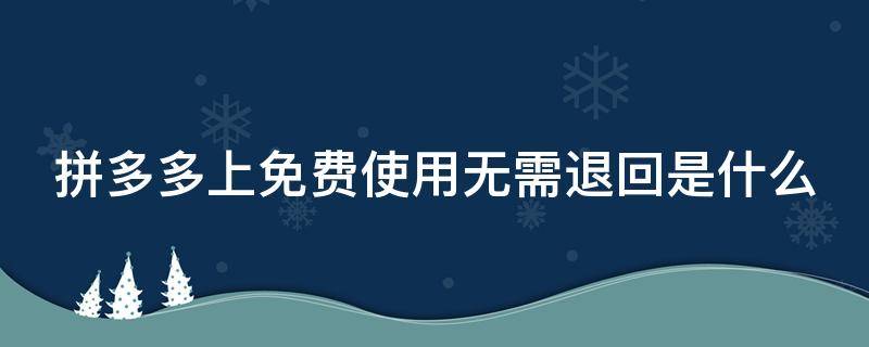 拼多多上免费使用无需退回是什么（拼多多上免费使用无需退回是什么原因）