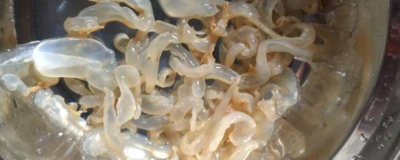 海蜇如何存放 海蜇如何存放时间长