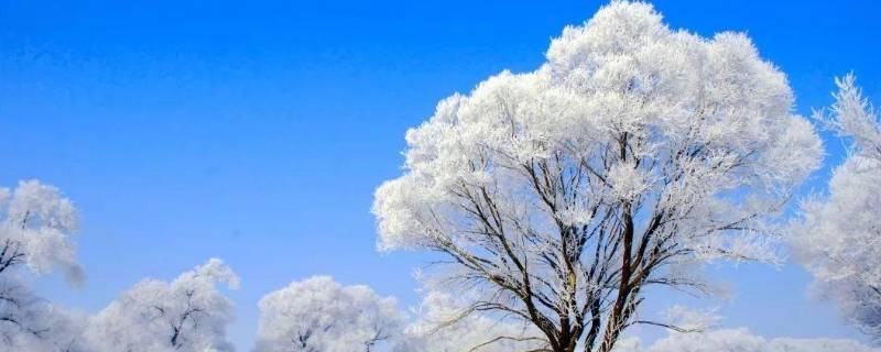 冰天雪地鹅毛大雪写句子 鹅毛大雪和冰天雪地写句子