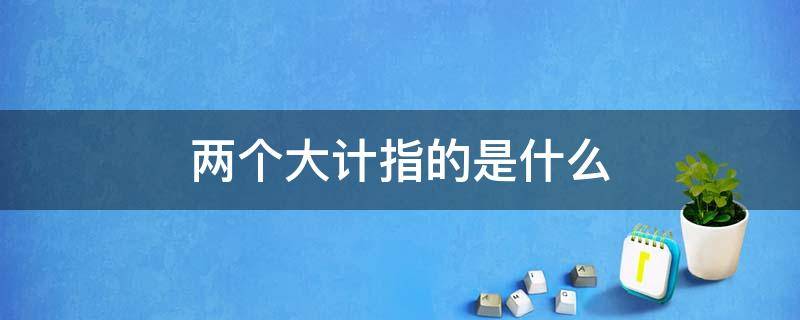 两个大计指的是什么（两个大计科学内涵）