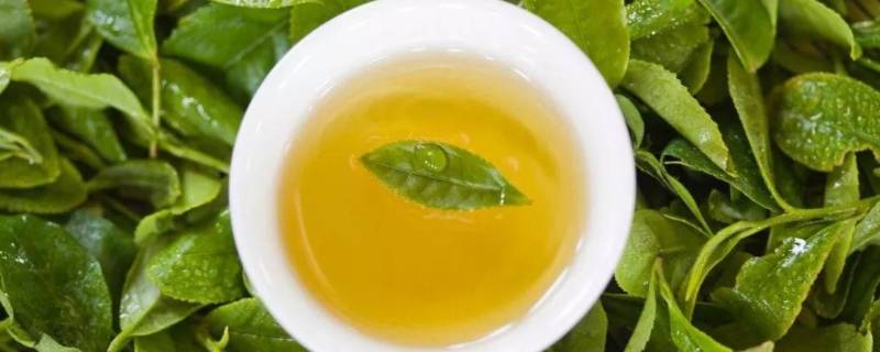 茶多酚最多的是什么茶 茶多酚最多的是什么绿茶