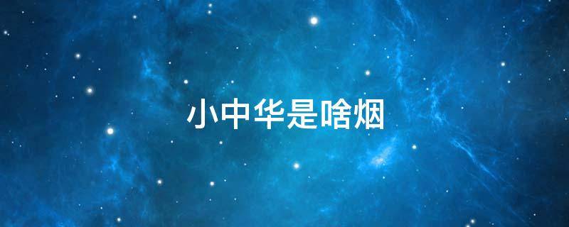 小中华是啥烟（被誉为小中华的香烟）