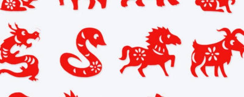 生肖的由来（生肖的由来传说简短）