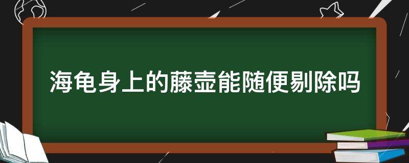 海龟身上的藤壶能随便剔除吗（去掉海龟身上的藤壶）