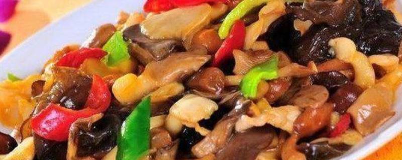 炒干香菇怎么炒好吃吗（如何炒干香菇好吃）
