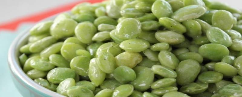 lima beans是什么豆