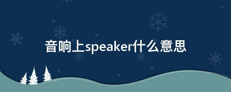 音响上speaker什么意思（音响上speakers是什么意思）