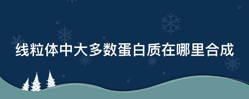 线粒体中大多数蛋白质在哪里合成（细胞中合成线粒体蛋白的结构）