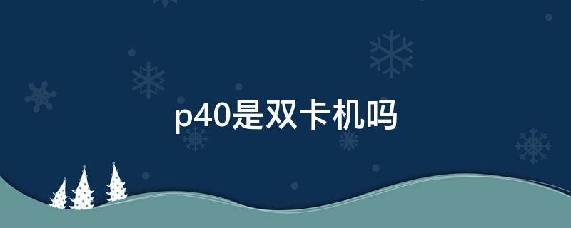 p40是双卡机吗 P40是双卡双待吗