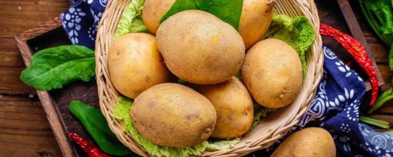 土豆的由来（土豆什么时候传入中国）
