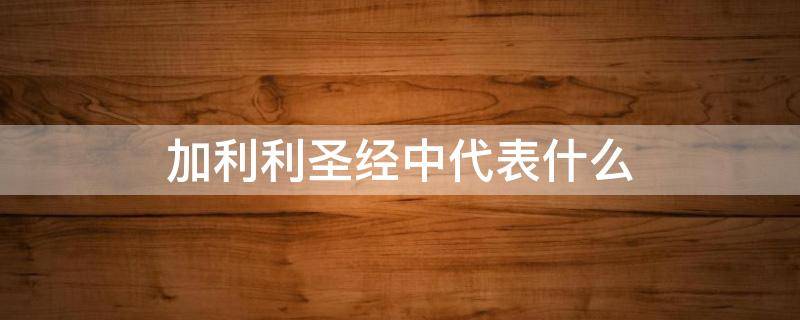 加利利圣经中代表什么（加利利圣经中代表什么意思）