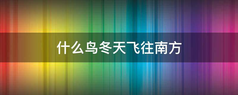什么鸟冬天飞往南方（什么鸟冬天飞往南方飞）