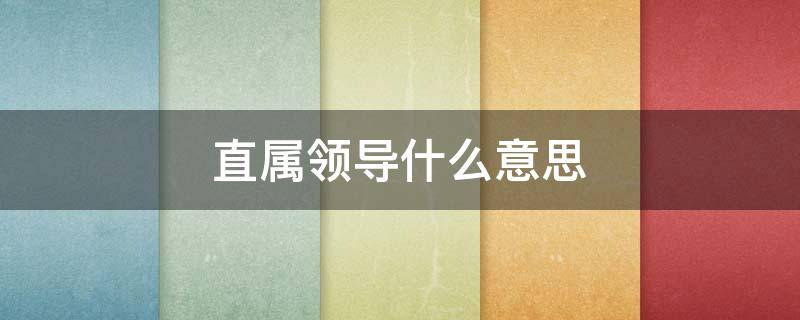 直属领导什么意思 单位直属领导是什么意思