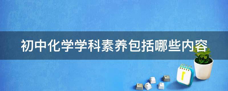 初中化学学科素养包括哪些内容（初中化学学科素养包括哪些内容和特点）
