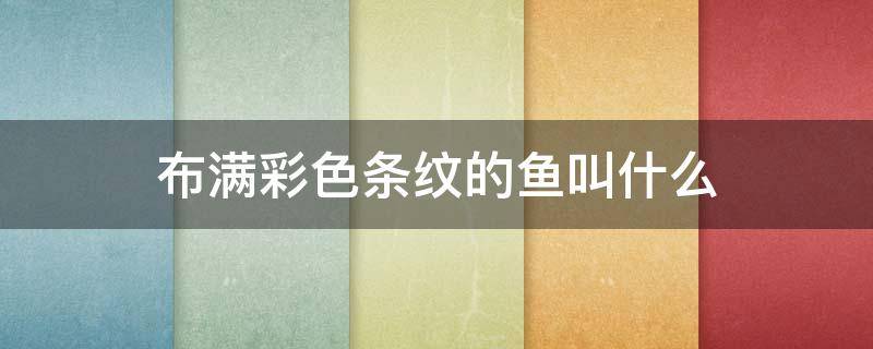 布满彩色条纹的鱼叫什么（各种各样的鱼全身布满彩色的条纹）