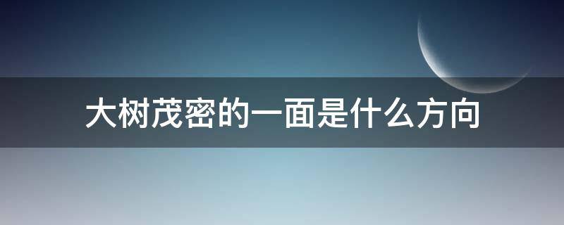 大树茂密的一面是什么方向 大树浓密的一侧是什么方向