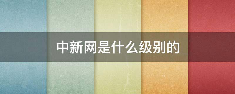 中新网是什么级别的（中新网是什么级别的公司）
