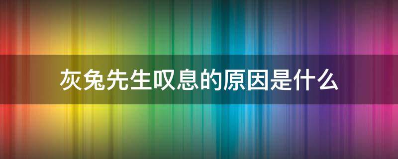 灰兔先生叹息的原因是什么（灰兔先生叹息声为什么变成了笑声）