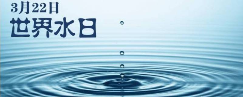 世界水日的由来 世界水日的由来是什么?