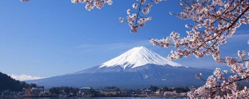 日本的由来（日本的由来诞生）