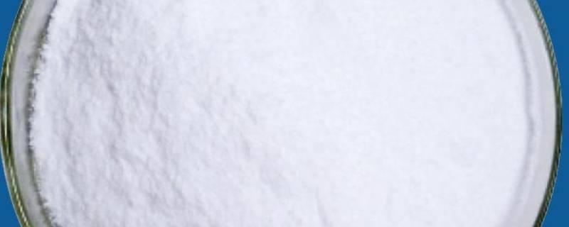 被称为半必需氨基酸的是什么 半必须氨基酸指的是