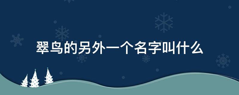 翠鸟的另外一个名字叫什么 翠鸟还有一个名字是什么