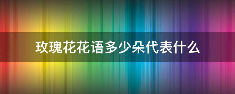 玫瑰花花语多少朵代表什么 玫瑰花多少朵的花语
