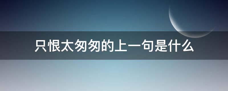 只恨太匆匆的上一句是什么（只恨太匆匆是哪首诗）