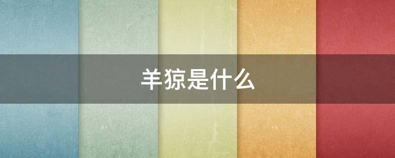 羊猄是什么 羊猄是什么皮料