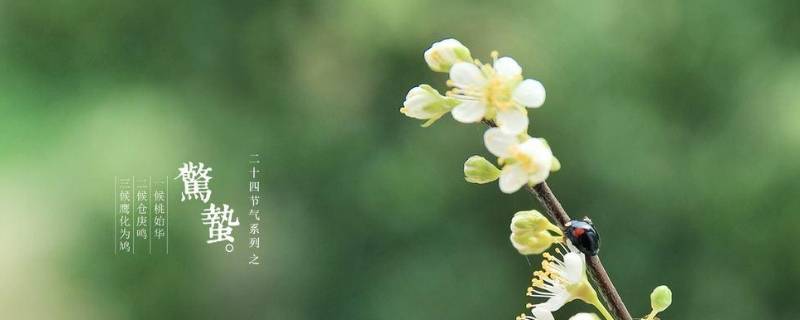 惊蛰的由来（惊蛰的由来 简介）