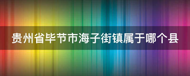 贵州省毕节市海子街镇属于哪个县（贵州省毕节市海子街镇属于哪个县城）