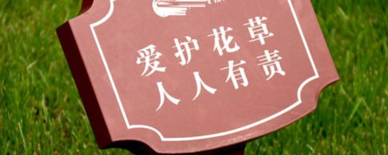 保护花草的宣传标语 爱护花草的标语牌图片