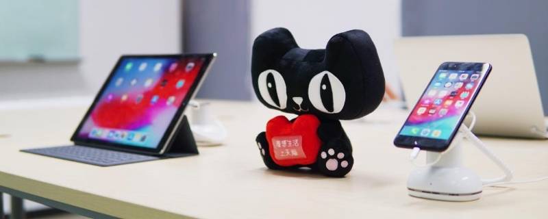 天猫名字的由来 天猫名字的由来和含义