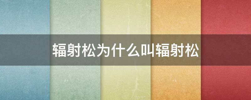 辐射松为什么叫辐射松（辐射松为什么叫辐射松的原因）
