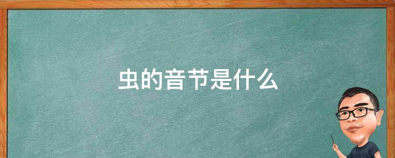 虫的音节是什么（虫的音节是什么意思）