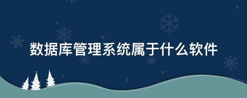 数据库管理系统属于什么软件（数据库管理系统属于什么软件?）
