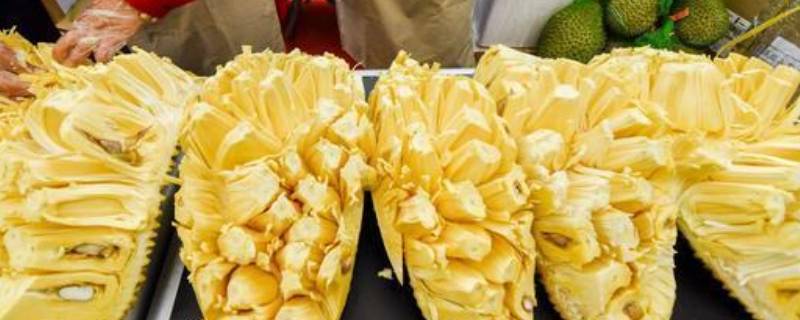 菠萝蜜可以放几天 吃菠萝蜜的7大禁忌