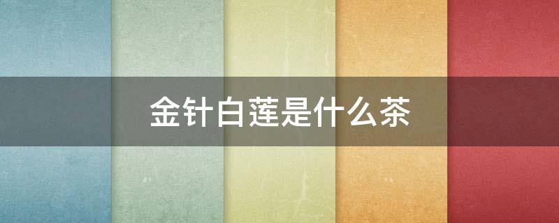 金针白莲是什么茶 金针白莲是什么茶类