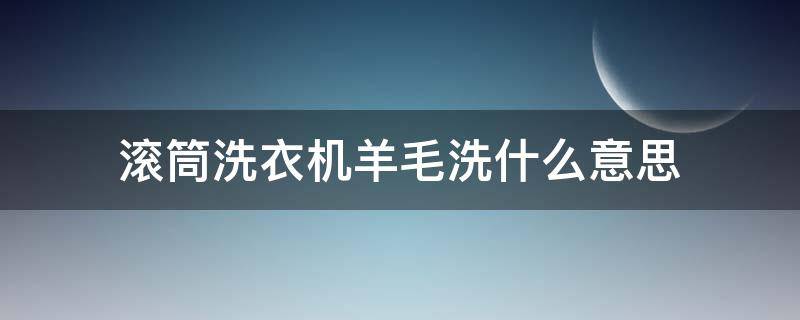 滚筒洗衣机羊毛洗什么意思