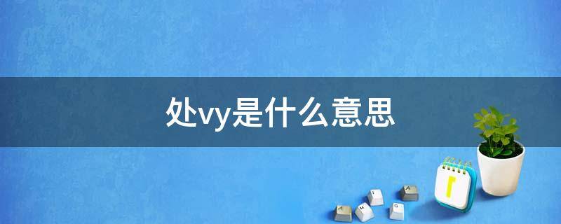 处vy是什么意思（处py什么意思）
