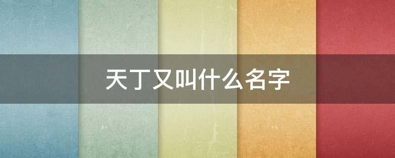 天丁又叫什么名字（天丁又叫什么名字好听）