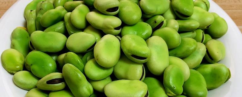 炒蚕豆怎么才能发亮 炒蚕豆怎么炒的松又脆