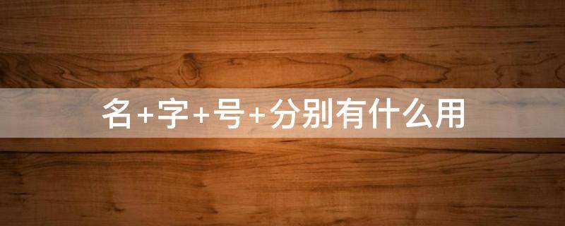 名 字 号 分别有什么用