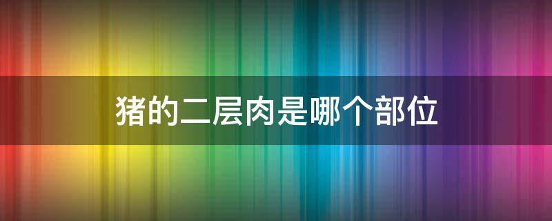 猪的二层肉是哪个部位（猪的二层肉是哪个部位图片）