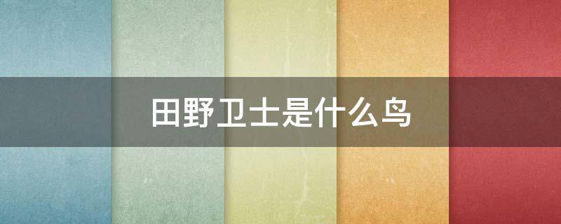 田野卫士是什么鸟（田野卫士是什么鸟?）