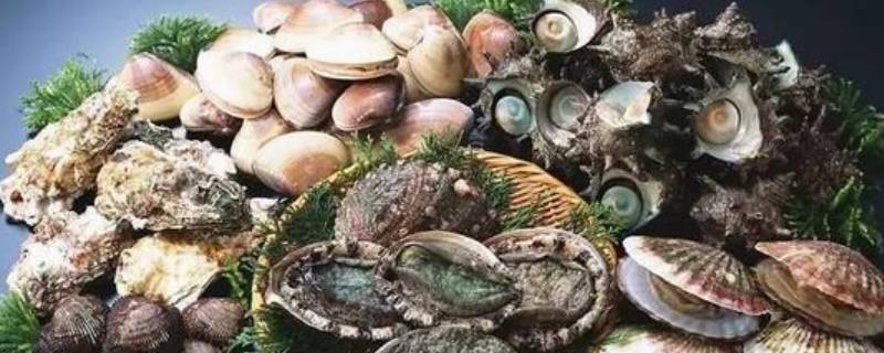 海鲜怎么保存 海鲜怎么保存到第二天