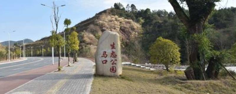 赣州网红打卡的地方在哪（赣州网红打卡的地方在哪个位置）