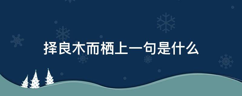 择良木而栖上一句是什么（择良木而栖出自）