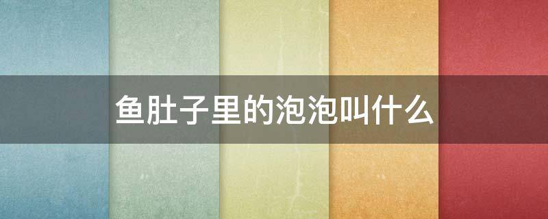 鱼肚子里的泡泡叫什么（鱼肚里的泡泡是什么）