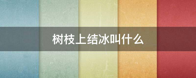 树枝上结冰叫什么（树枝上结冰叫什么现象）